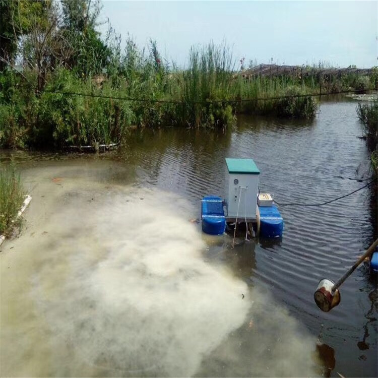 Micro-nano aerator.jpg